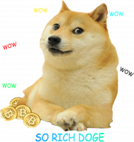 Rich DOGE