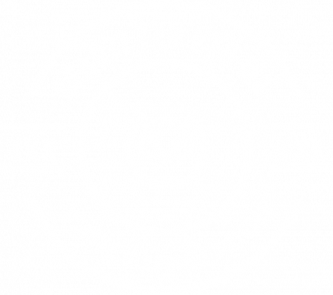 Koszulka Secret Society