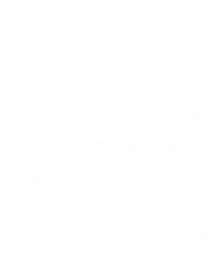 Koszulka Queen damska NEW