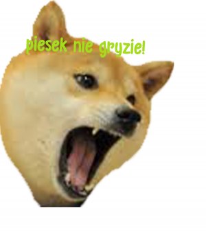 Koszulka ,,Piesek nie gryzie!'' - nadruk
