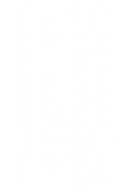 Every day is your day - koszulka męska
