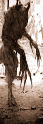 друг Czarny napis