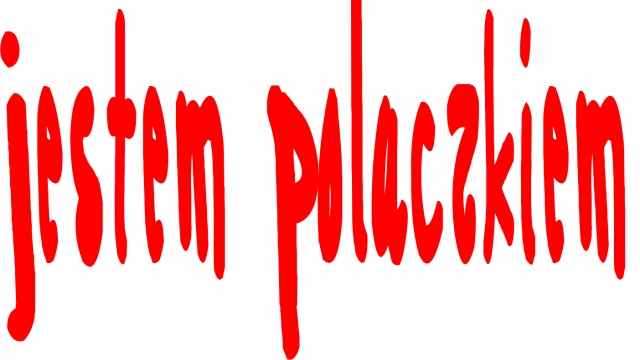 Koszulka 2