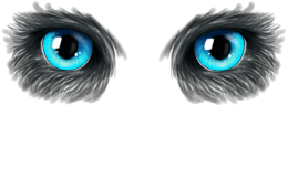 Kocie oczy EKOtorba