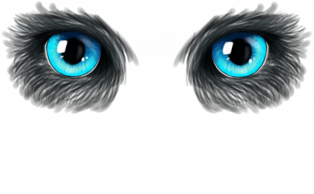 Kocie oczy damska