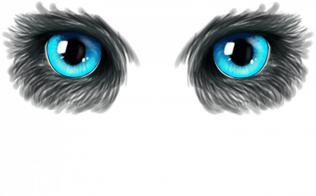 Kocie oczy EKOtorba