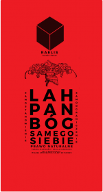 RAELIS - koszulka dziecięca - Lah Pan Bóg Samego Siebie
