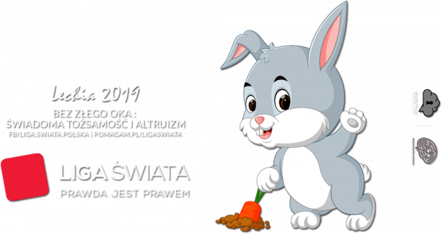 Liga Świata 2019