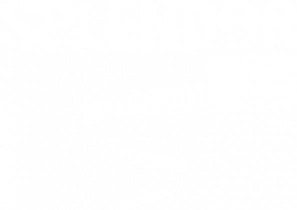 Koszulka - Splendor