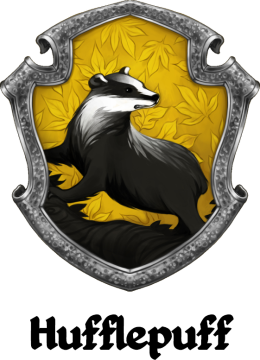 Harry Potter T-shirt