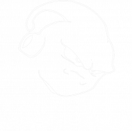 dragon ball  Majin Buu
