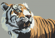 Oko tygrysa - Rośnij w siłę