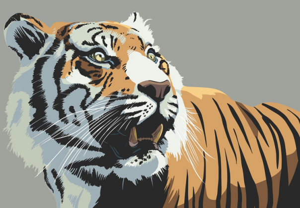 Oko tygrysa - Rośnij w siłę