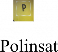 T-Shirt Polinsat