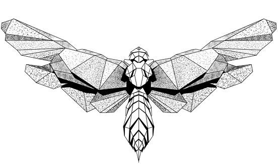 Nocturnal Animal - koszulka dla nocnego marka