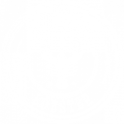 My zodiac lobster - koszulka mem Jordan Peterson