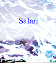 bluza safari