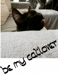 catlover