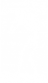 Archeolog-niegodziwiec (♂, biały wzór)
