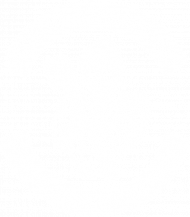 Toruń Sons of Archaeology (♂, biały wzór)