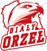 Bluza patriotyczna męska Biały Orzeł