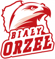 Bluza patriotyczna męska Biały Orzeł