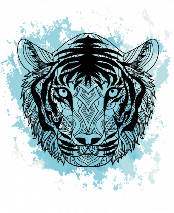 Bluza-tygrys-niebieski
