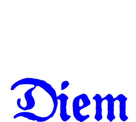 Bluza Carpe Diem