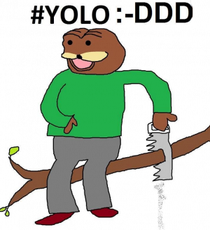 YOLO - nadruk