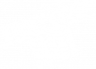 Koszulka damska napis kurdy typie no