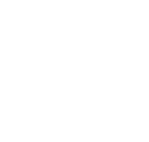 Koszulka damska z rysunkiem kota