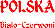 Koszulka kibica