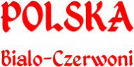 Kubek kibica