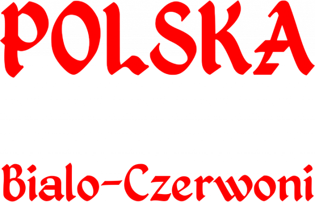 Koszulka damska Kibic