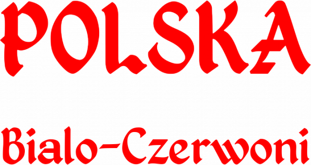 Koszulka kibica