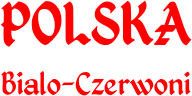 Kubek kibica