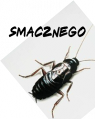 kubek z karaluchem