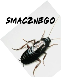 kubek z karaluchem