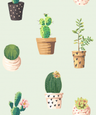 Kaktusy 2 - kubek
