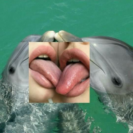 dolphin lips