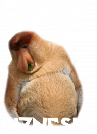 Bluza - Janusz biznesu
