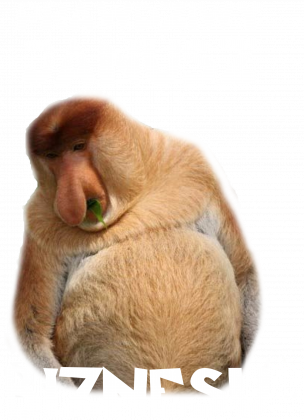 Bluza - Janusz biznesu