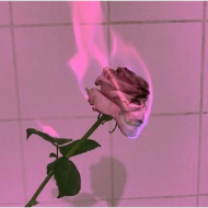 Bluza aesthetic rose