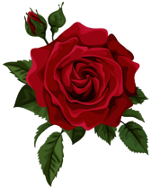 Maseczka Bawełniana "Roses"