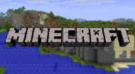 Minecraft bluza
