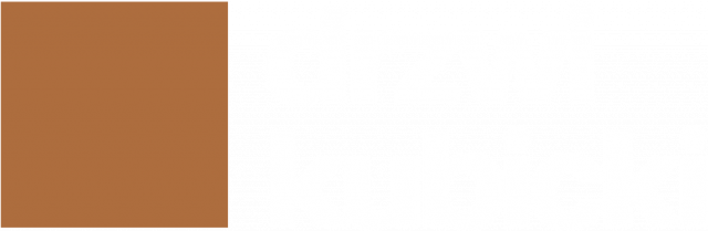 T-shirt z logo po obu stronach