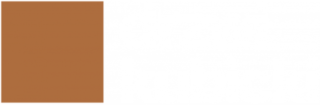 T-shirt z logo po obu stronach