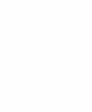 Bluza Skeleton Ribs