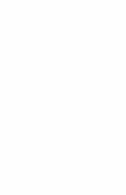 Koszulka Skeleton