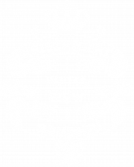 Koszulka Księżniczki rodzą się w Grudniu